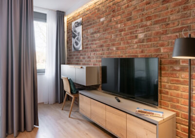 TV and working space studio apartment