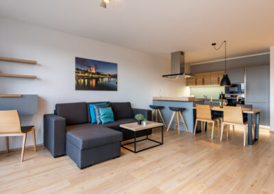 Living room of a 1-bedroom apartment