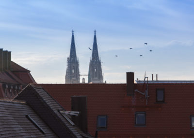 Blick auf den Regensburger Dom